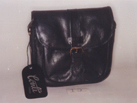 Executive Portfolio Bags (13)